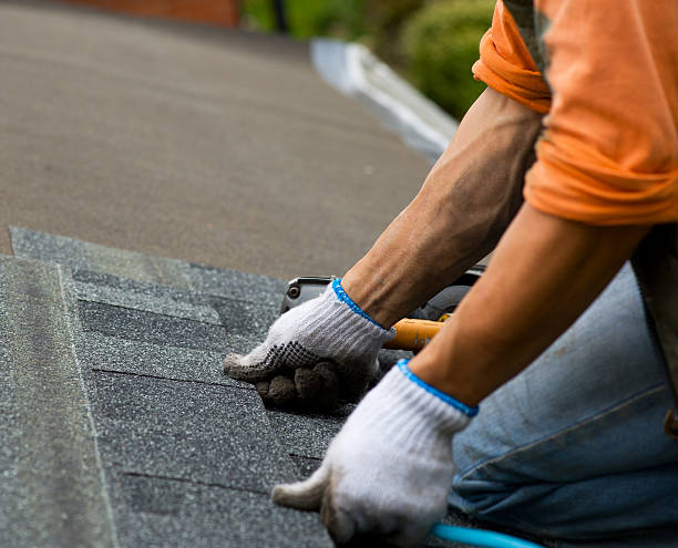 Best Roof Gutter Cleaning  in Pahokee, FL